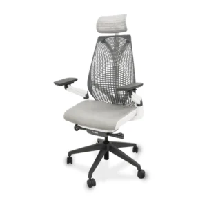 Bewell Ergonomic chair Embrace